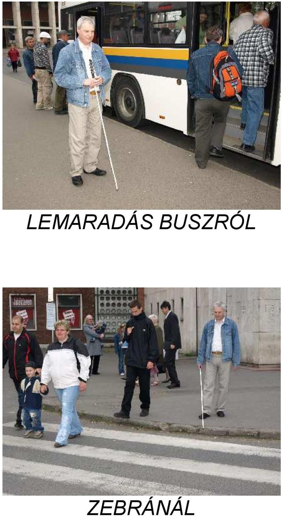 ZEBRÁNÁL