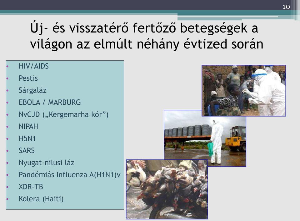 EBOLA / MARBURG NvCJD ( Kergemarha kór ) NIPAH H5N1 SARS