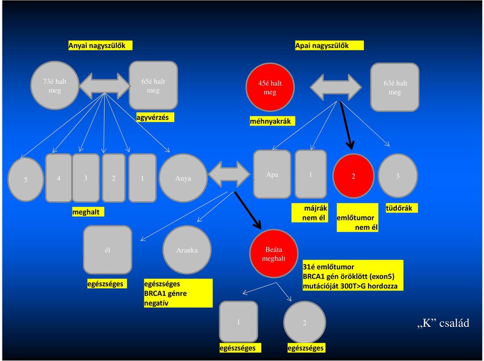 él Aranka Beáta halt egészséges egészséges BRCA1 génre negatív 31é emlőtumor