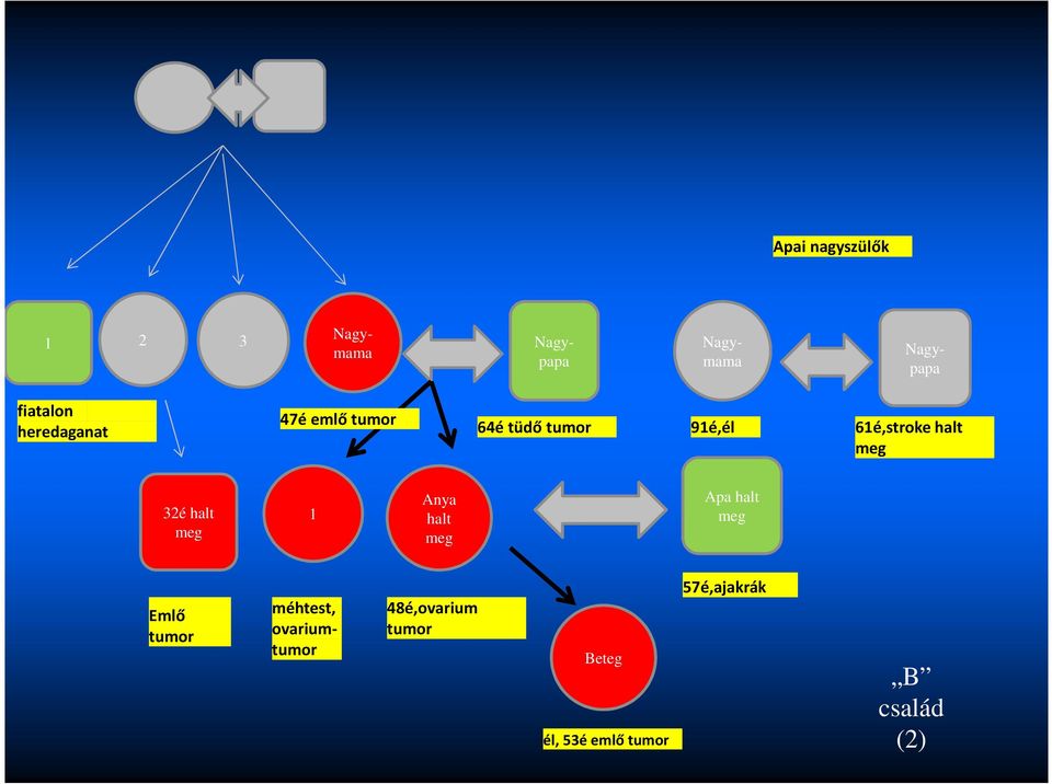 61é,stroke halt 32é halt 1 Anya halt Apa halt Emlő tumor méhtest,