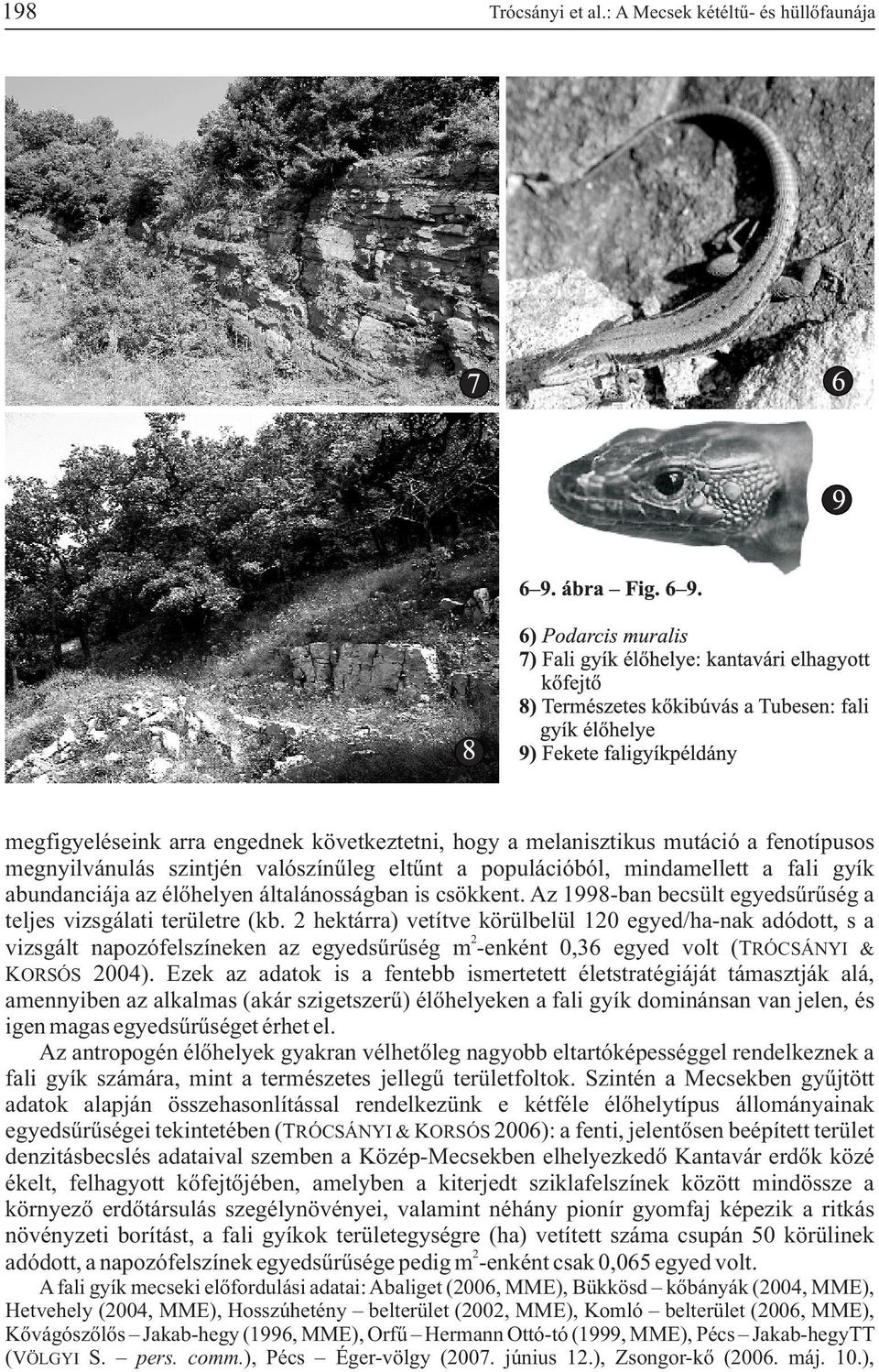 fali gyík abundanciája az élõhelyen általánosságban is csökkent. Az 1998-ban becsült egyedsûrûség a teljes vizsgálati területre (kb.