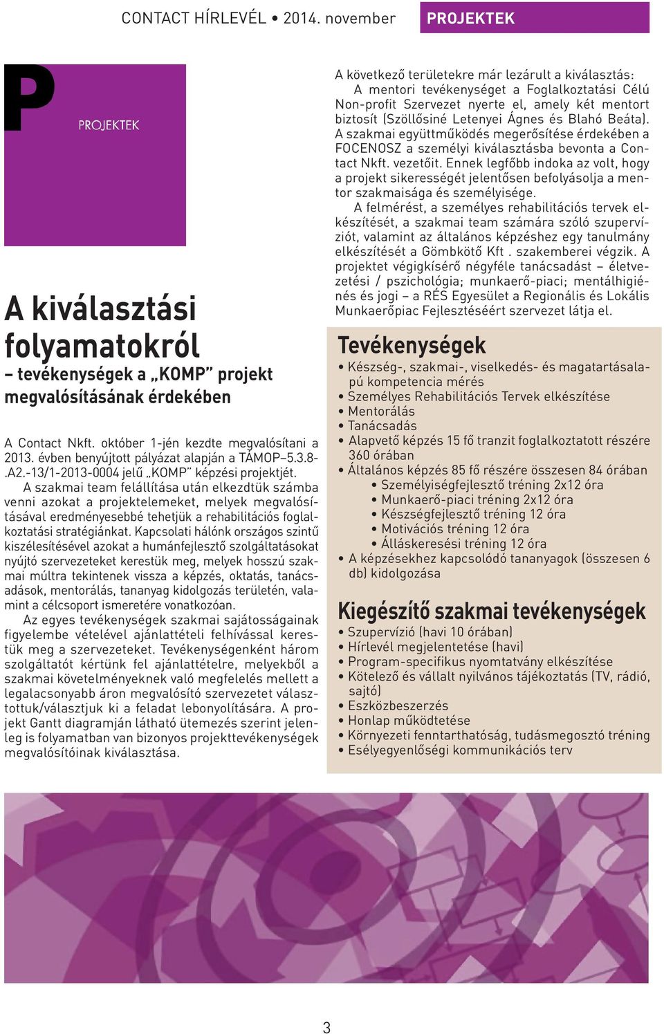 A szakmai team felállítása után elkezdtük számba venni azokat a projektelemeket, melyek megvalósításával eredményesebbé tehetjük a rehabilitációs foglalkoztatási stratégiánkat.