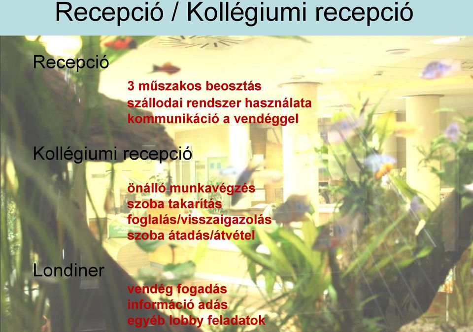 recepció önálló munkavégzés szoba takarítás foglalás/visszaigazolás