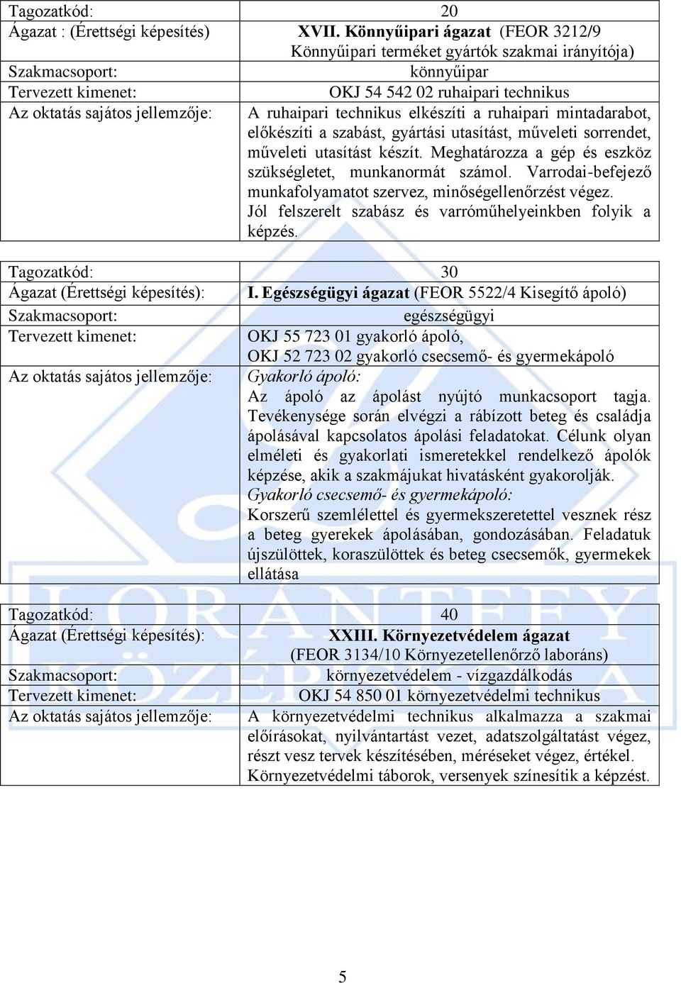 ruhaipari mintadarabot, előkészíti a szabást, gyártási utasítást, műveleti sorrendet, műveleti utasítást készít. Meghatározza a gép és eszköz szükségletet, munkanormát számol.