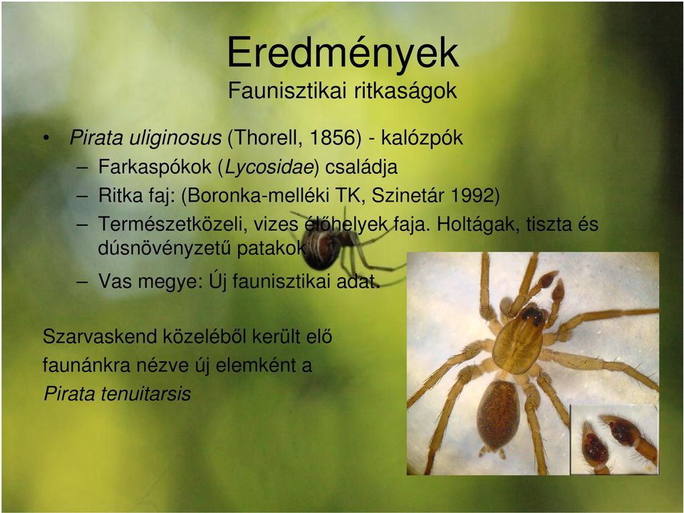 Természetközeli, vizes élőhelyek faja.