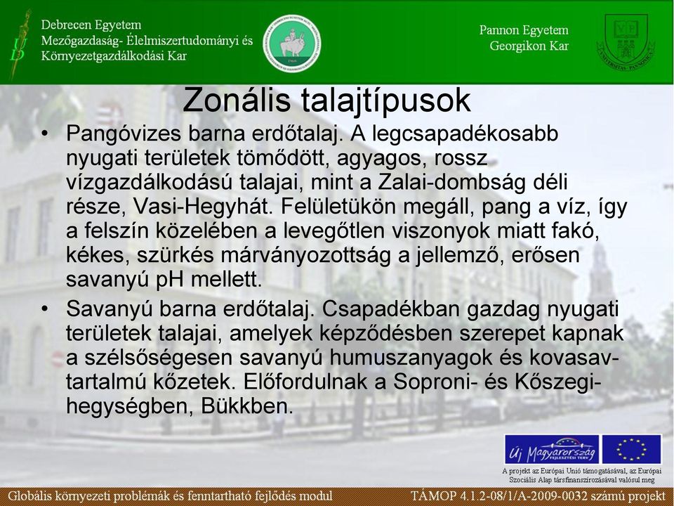 Felületükön megáll, pang a víz, így a felszín közelében a levegőtlen viszonyok miatt fakó, kékes, szürkés márványozottság a jellemző, erősen