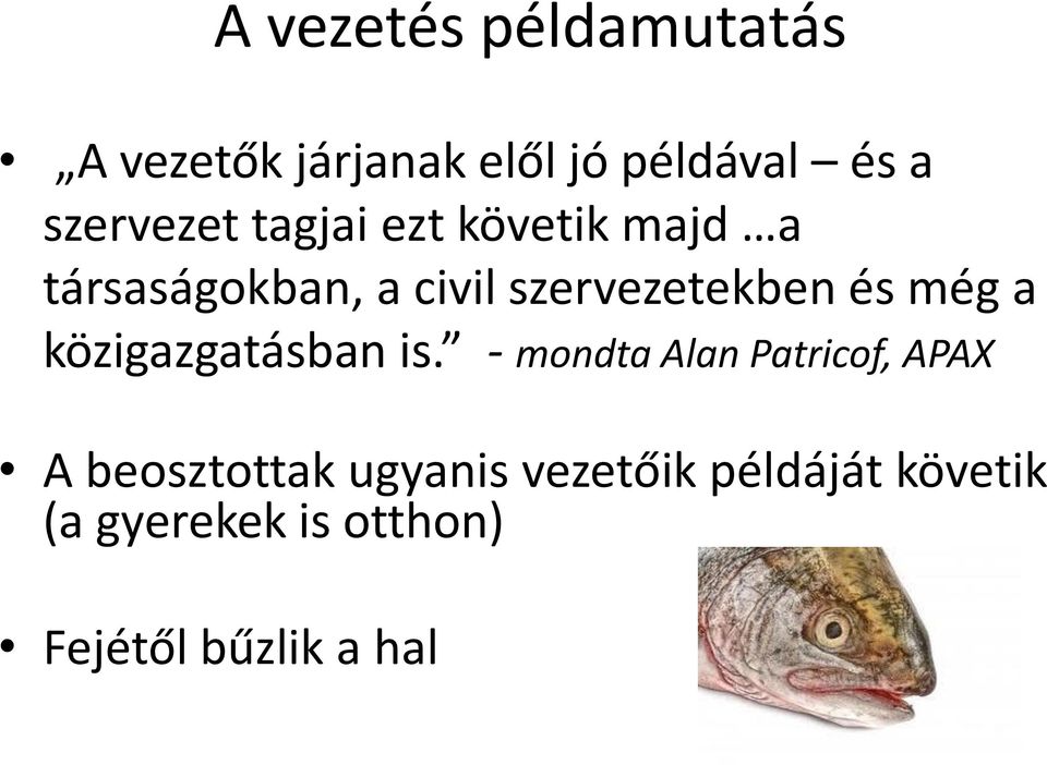 szervezetekben és még a közigazgatásban is.