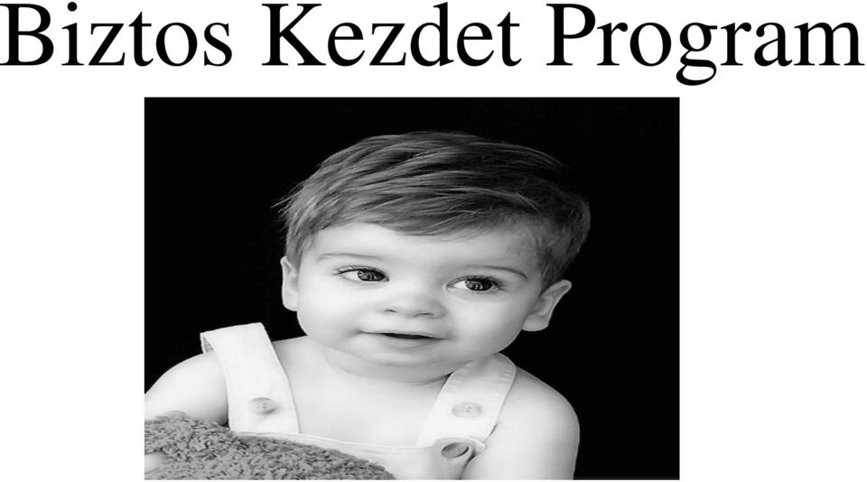 Program