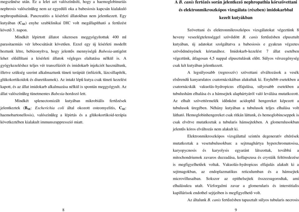 Mindkét lépirtott állatot sikeresen meggyógyítottuk 400 ml parasitaemiás vér lebocsátását követően.