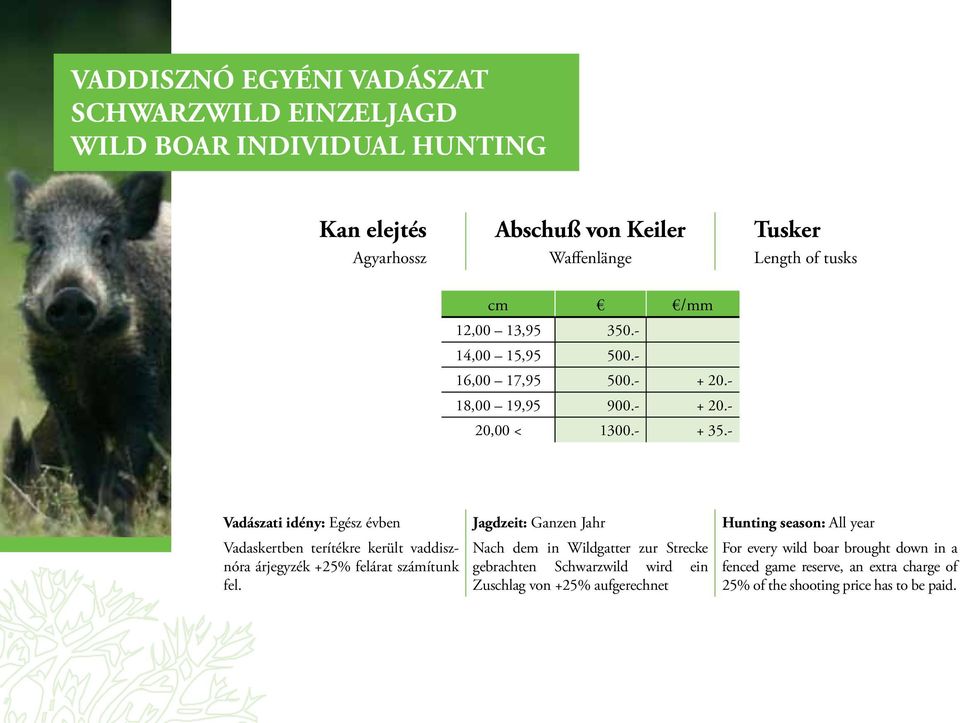 - Vadászati idény: Egész évben Jagdzeit: Ganzen Jahr Hunting season: All year Vadaskertben terítékre került vaddisznóra árjegyzék +25% felárat számítunk fel.