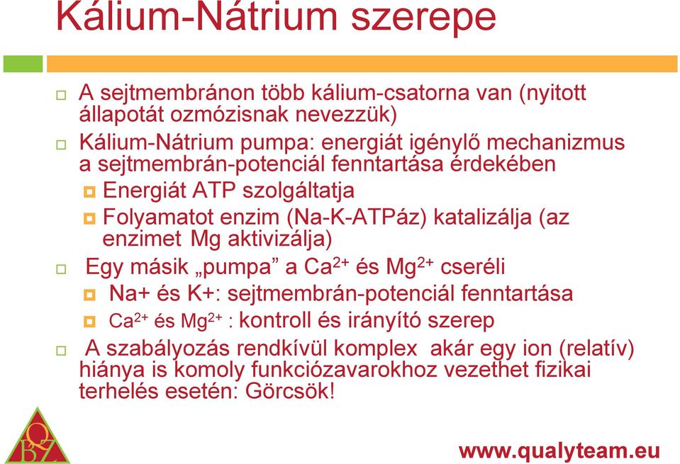 enzimet Mg aktivizálja) Egy másik pumpa a Ca 2+ és Mg 2+ cseréli Na+ és K+: sejtmembrán-potenciál fenntartása Ca 2+ és Mg 2+ : kontroll és