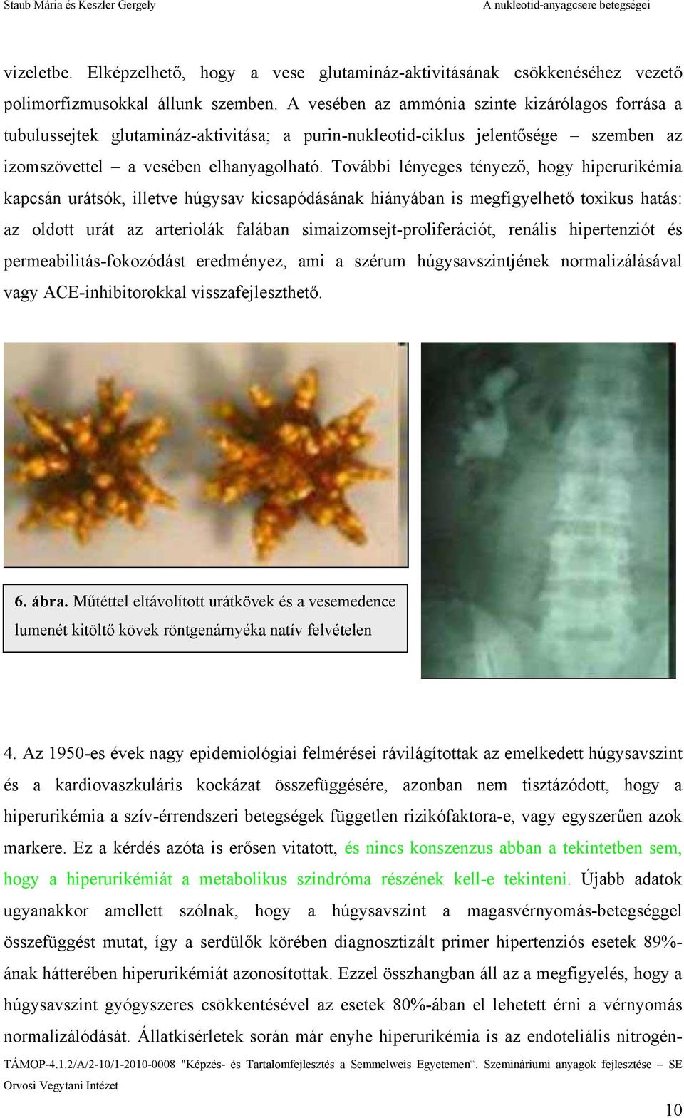 További lényeges tényező, hogy hiperurikémia kapcsán urátsók, illetve húgysav kicsapódásának hiányában is megfigyelhető toxikus hatás: az oldott urát az arteriolák falában simaizomsejt-proliferációt,
