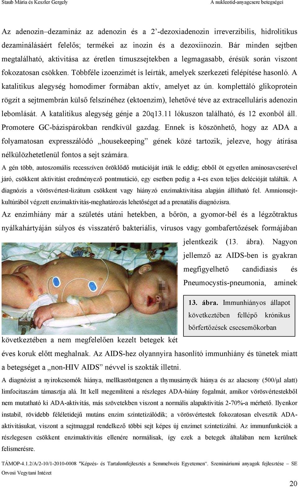 A katalitikus alegység homodimer formában aktív, amelyet az ún. komplettáló glikoprotein rögzít a sejtmembrán külső felszínéhez (ektoenzim), lehetővé téve az extracelluláris adenozin lebomlását.