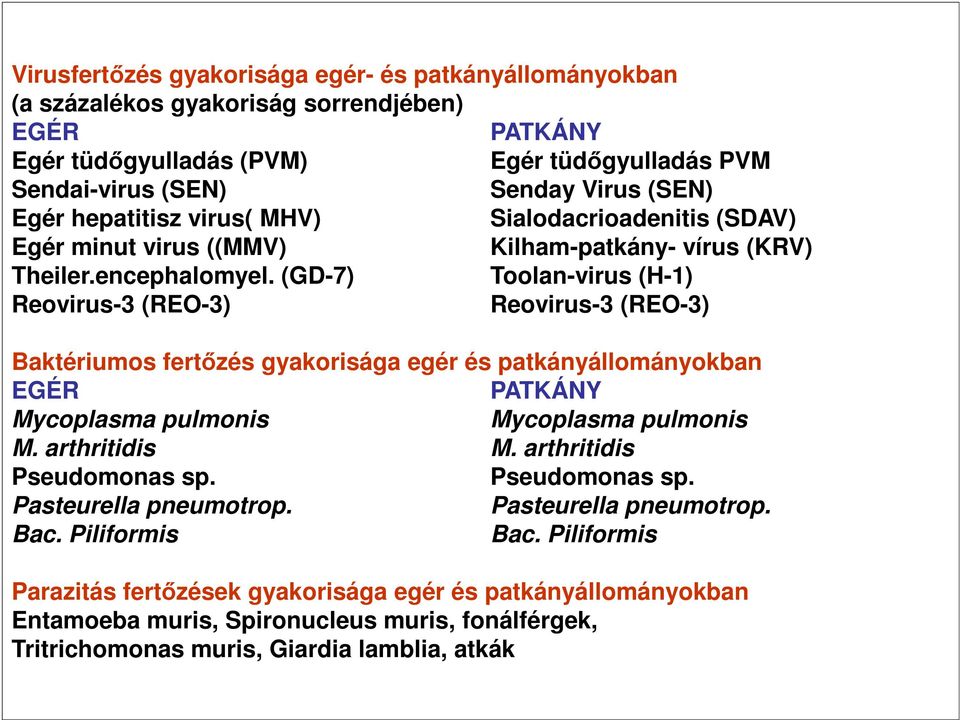 (GD-7) Toolan-virus (H-1) Reovirus-3 (REO-3) Reovirus-3 (REO-3) Baktériumos fertızés gyakorisága egér és patkányállományokban EGÉR PATKÁNY Mycoplasma pulmonis Mycoplasma pulmonis M. arthritidis M.