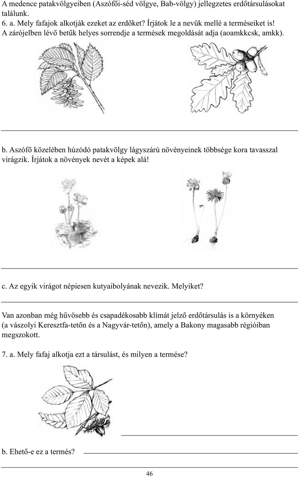 Írjátok a növények nevét a képek alá! (Csapody Vera, 1982) c. Az egyik virágot népiesen kutyaibolyának nevezik. Melyiket?