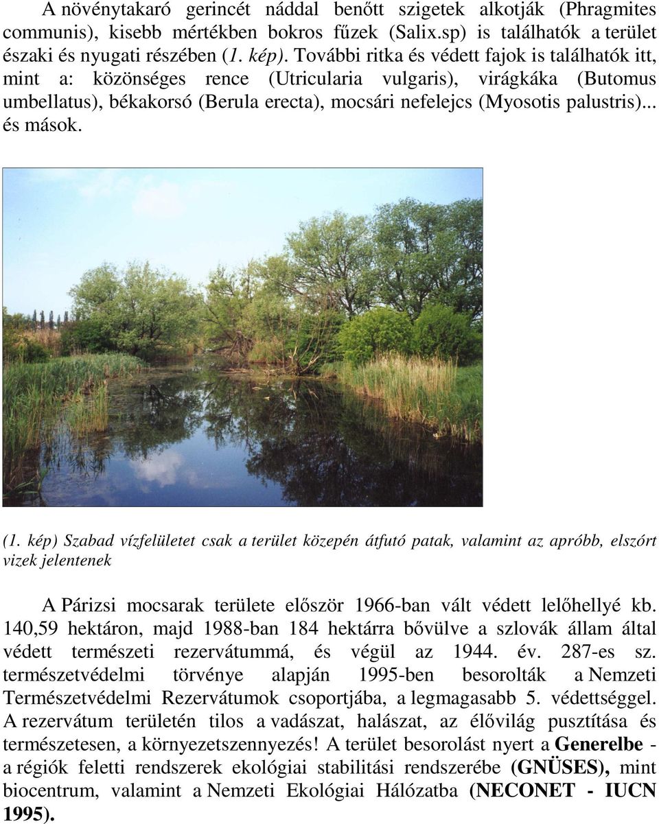 .. és mások. (1. kép) Szabad vízfelületet csak a terület közepén átfutó patak, valamint az apróbb, elszórt vizek jelentenek A Párizsi mocsarak területe elıször 1966-ban vált védett lelıhellyé kb.