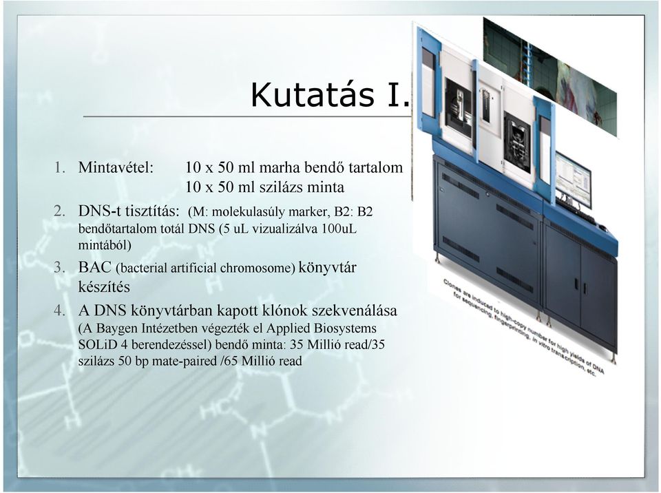 BAC (bacterial artificial chromosome) könyvtár készítés 4.