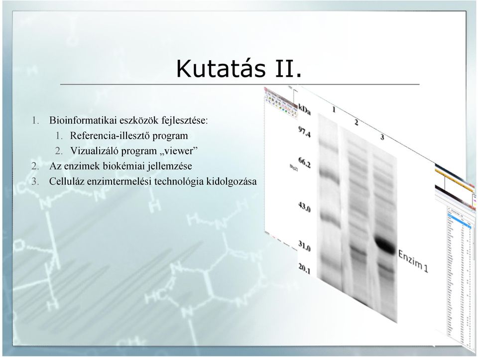 Referencia-illesztő program 2.