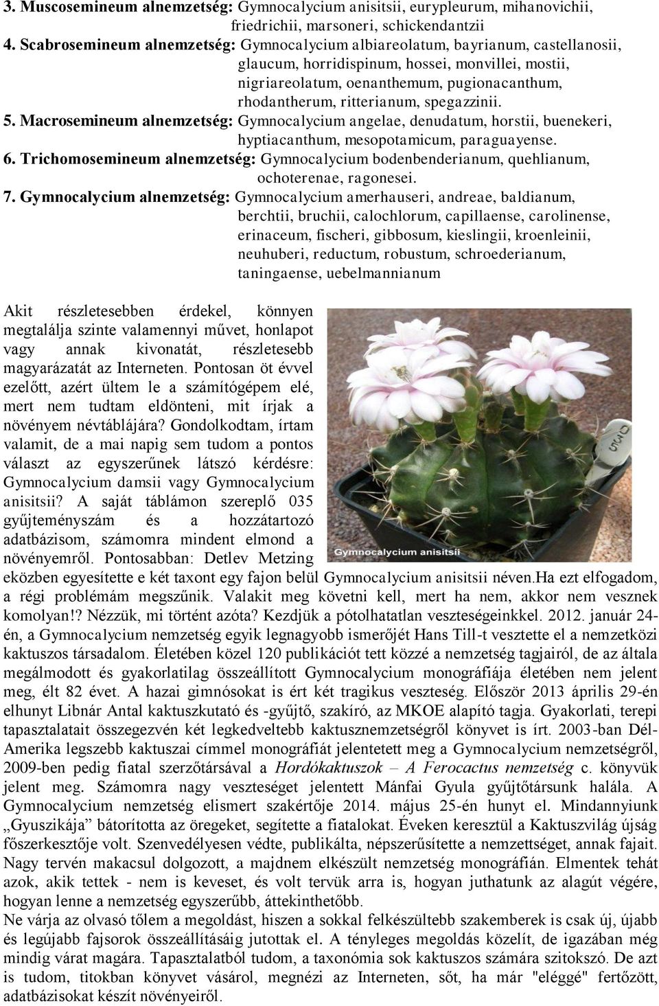 ritterianum, spegazzinii. 5. Macrosemineum alnemzetség: Gymnocalycium angelae, denudatum, horstii, buenekeri, hyptiacanthum, mesopotamicum, paraguayense. 6.