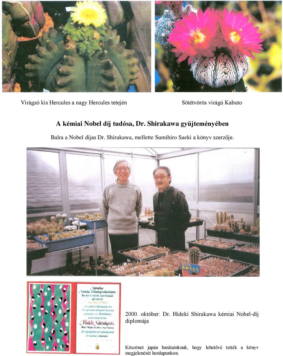 Shirakawa, mellette Sumihiro Saeki a könyv szerzője. 2000. október: Dr.