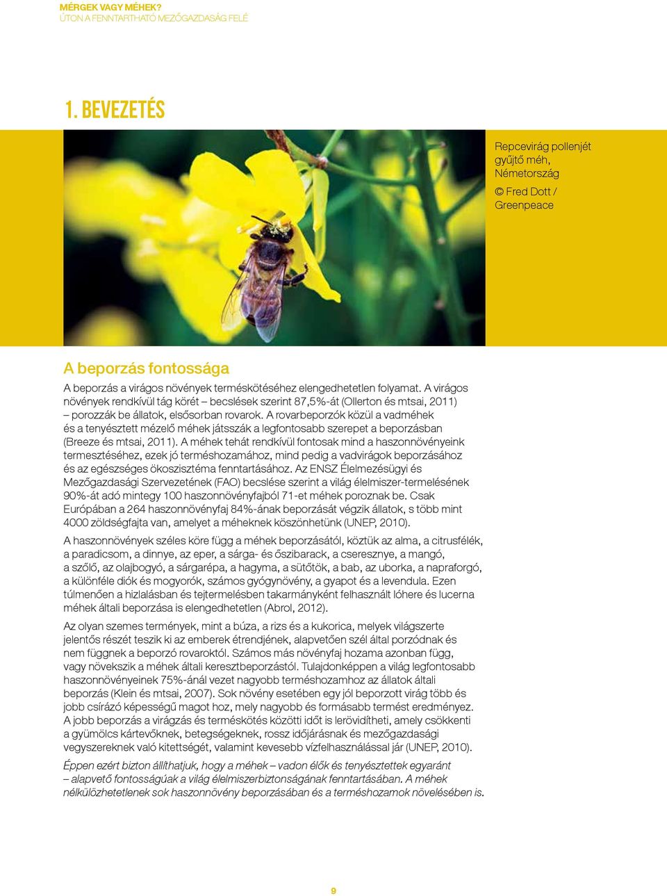 A rovarbeporzók közül a vadméhek és a tenyésztett mézelő méhek játsszák a legfontosabb szerepet a beporzásban (Breeze és mtsai, 2011).