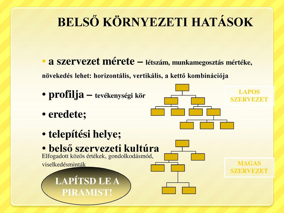 tevékenységi kör eredete; telepítési helye; belső szervezeti kultúra Elfogadott