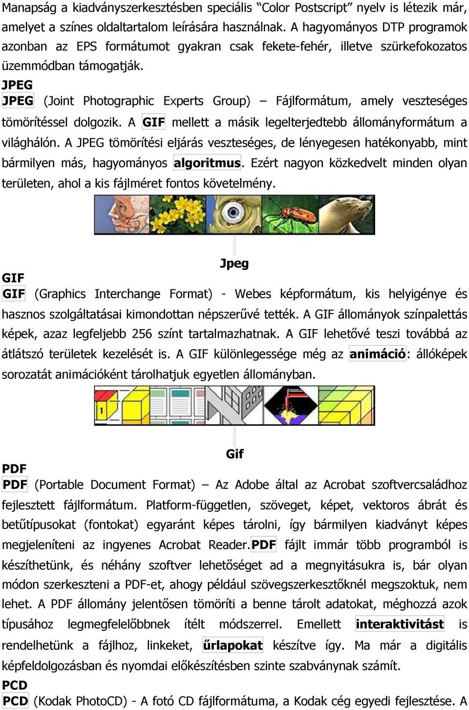 JPEG JPEG (Joint Photographic Experts Group) Fájlformátum, amely veszteséges tömörítéssel dolgozik. A GIF mellett a másik legelterjedtebb állományformátum a világhálón.