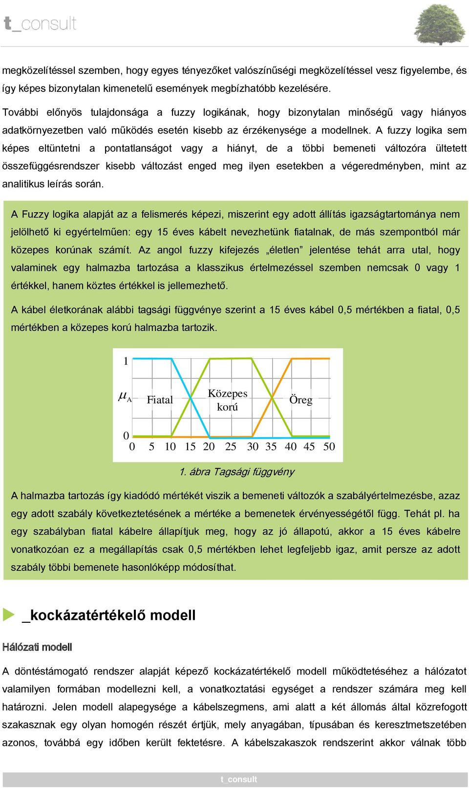 A fuzzy logika sem képes eltüntetni a pontatlanságot vagy a hiányt, de a többi bemeneti változóra ültetett összefüggésrendszer kisebb változást enged meg ilyen esetekben a végeredményben, mint az