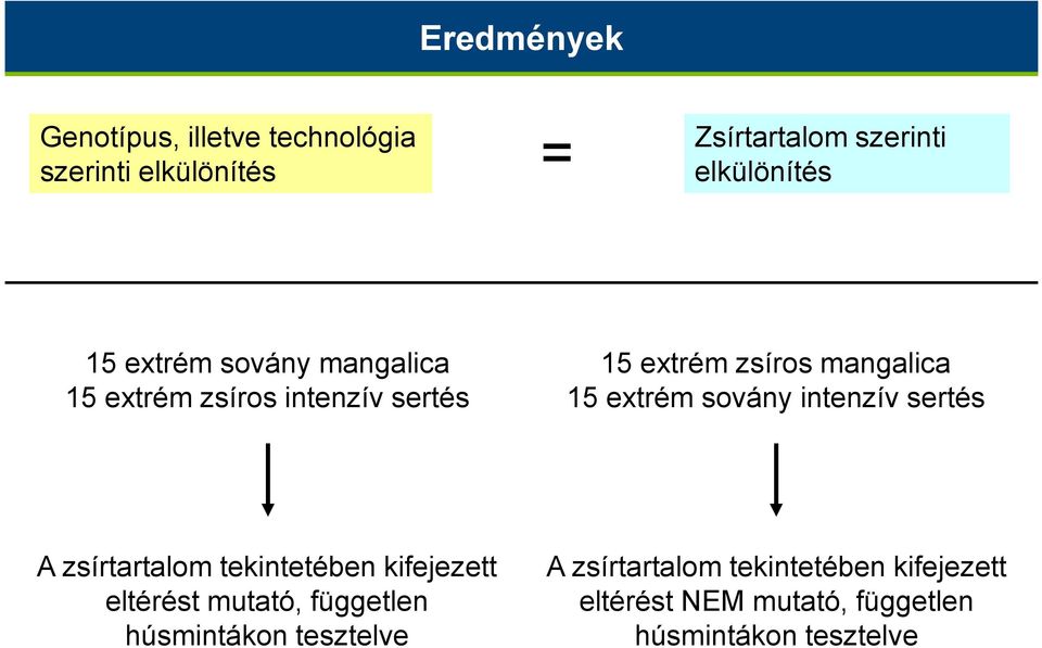 sovány intenzív sertés A zsírtartalom tekintetében kifejezett eltérést mutató, független