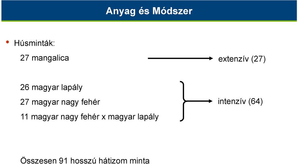 nagy fehér 11 magyar nagy fehér x magyar