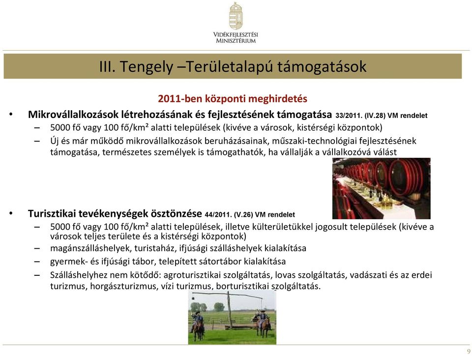 természetes személyek is támogathatók, ha vállalják a vállalkozóvá válást Turisztikai tevékenységek ösztönzése 44/2011. (V.