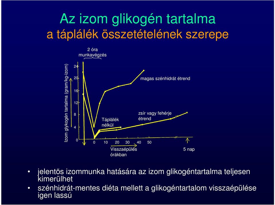 magas szénhidrát étrend zsír vagy fehérje étrend 5 nap jelentős izommunka hatására az izom