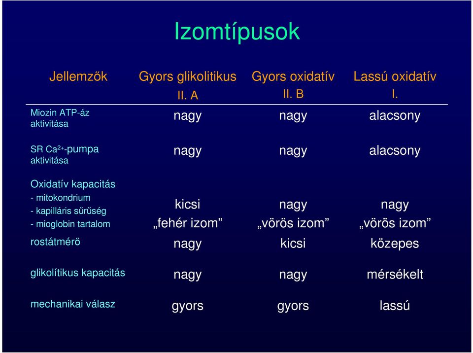 kapacitás - mitokondrium - kapilláris sűrűség - mioglobin tartalom kicsi fehér izom nagy vörös izom