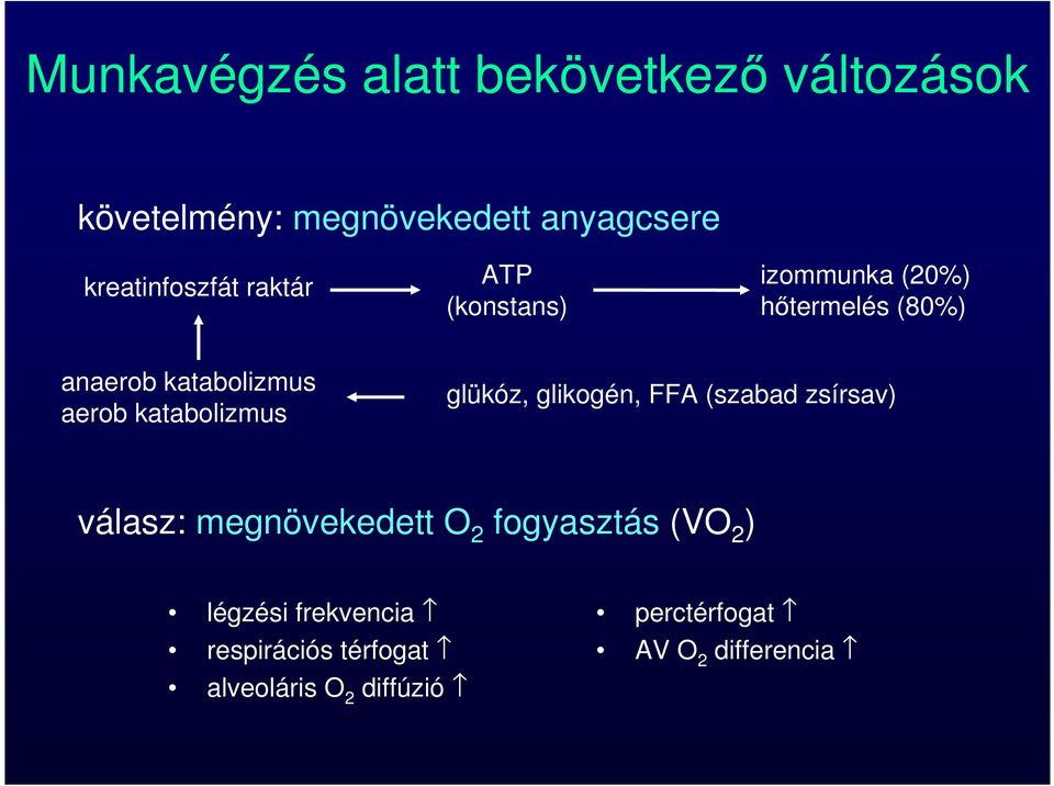 aerob katabolizmus glükóz, glikogén, FFA (szabad zsírsav) válasz: megnövekedett O 2