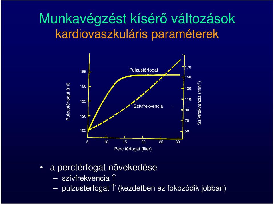 110 90 70 Szívfrekvencia (min -1 ) 105 50 5 10 15 20 25 30 Perc térfogat