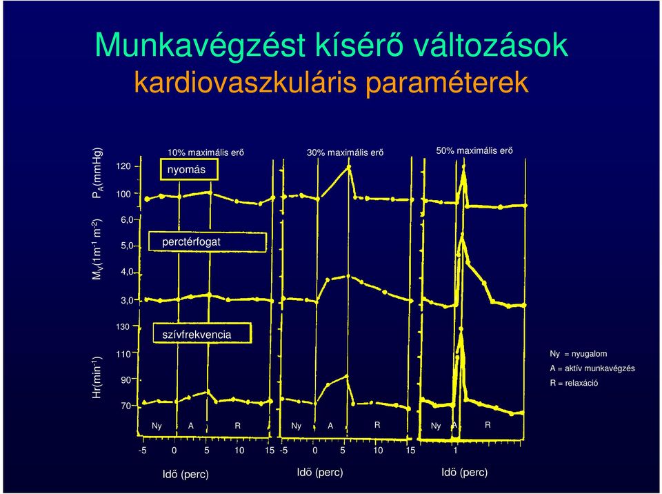 perctérfogat 3,0 130 szívfrekvencia Hr(min -1 ) 110 90 70 Ny = nyugalom A = aktív