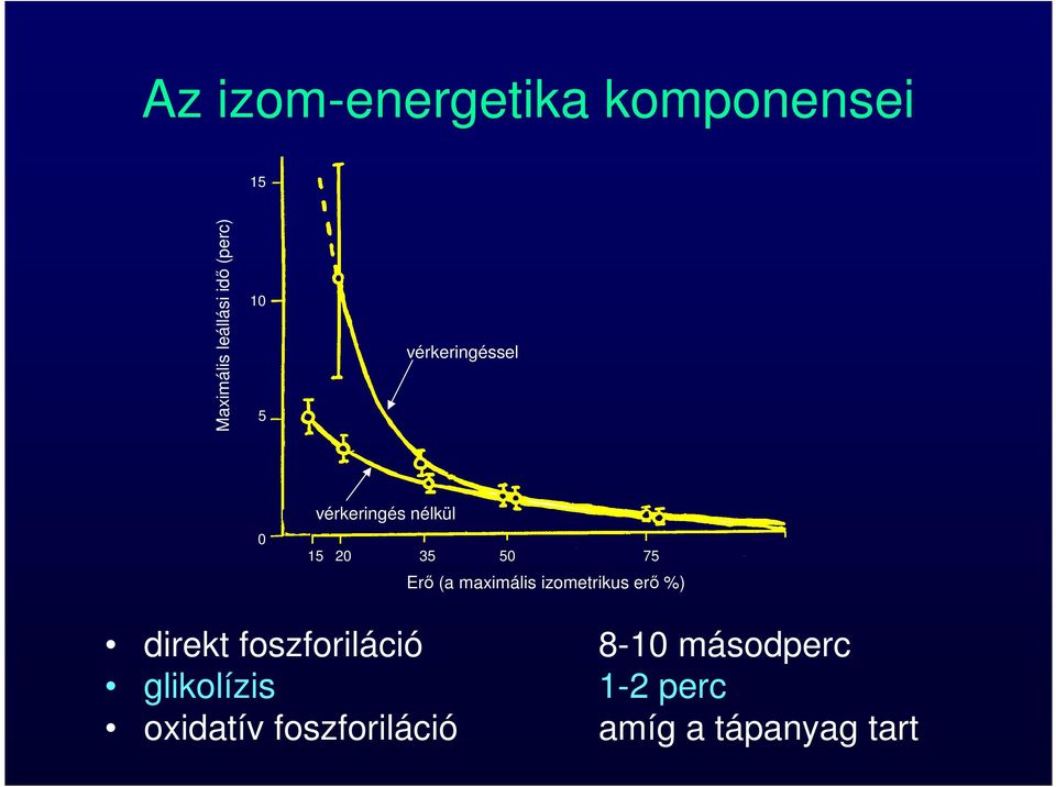 maximális izometrikus erő %) direkt foszforiláció 8-10