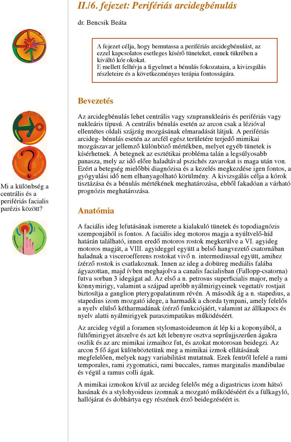 E mellett felhívja a figyelmet a bénulás fokozataira, a kivizsgálás részleteire és a következményes terápia fontosságára. Bevezetés Mi a különbség a centrális és a perifériás facialis parézis között?