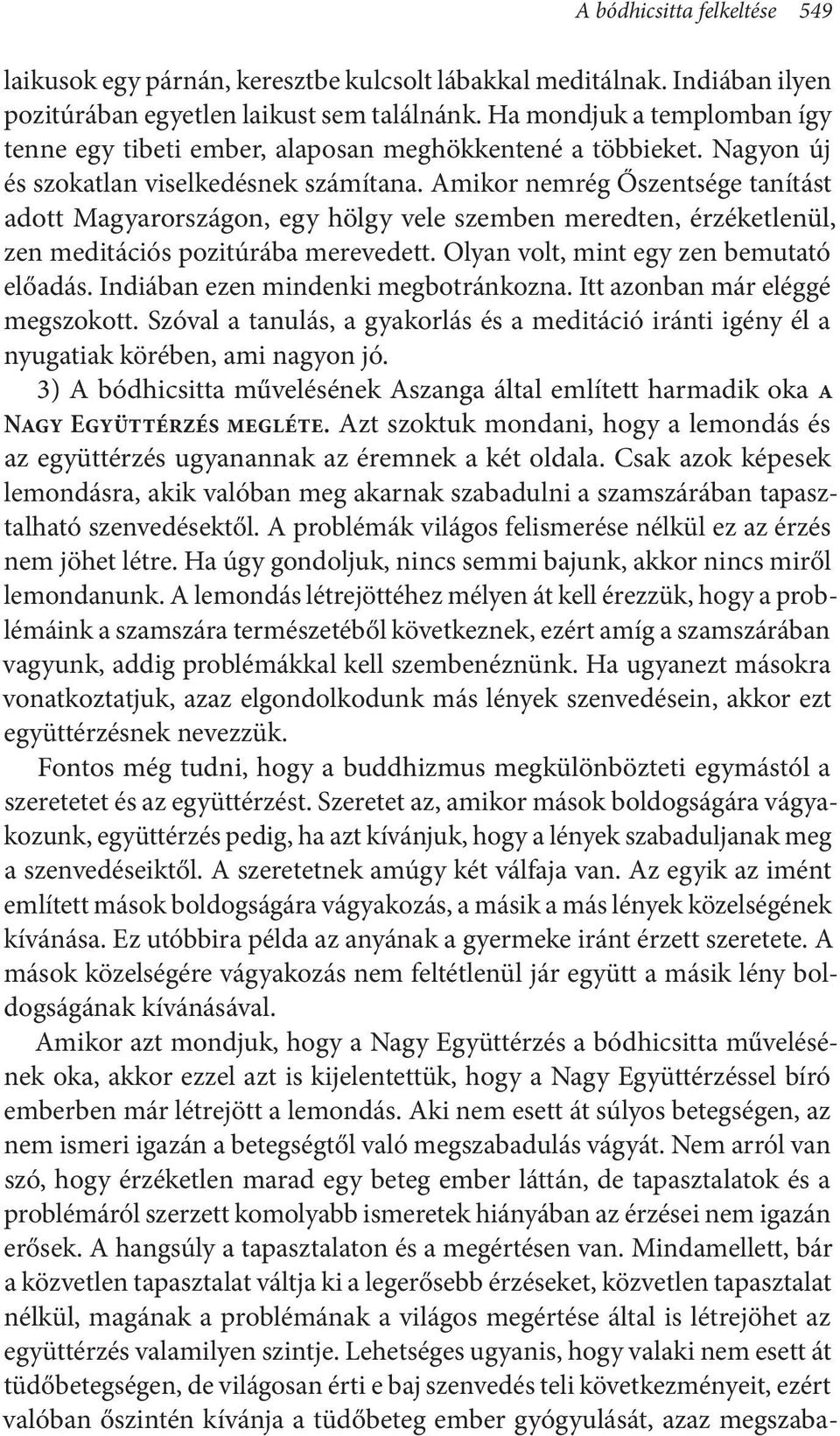 Amikor nemrég Őszentsége tanítást adott Magyarországon, egy hölgy vele szemben meredten, érzéketlenül, zen meditációs pozitúrába merevedett. Olyan volt, mint egy zen bemutató előadás.