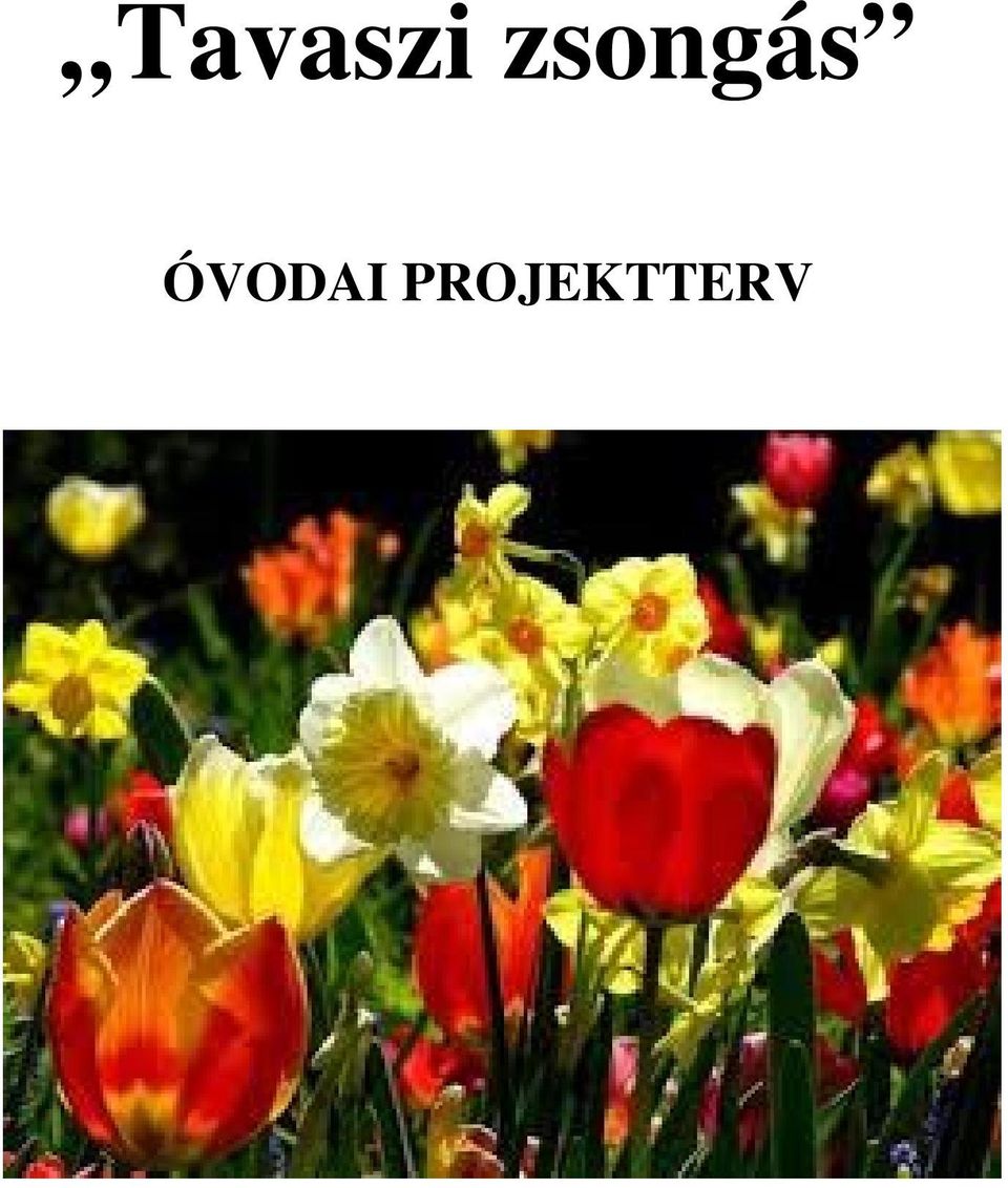 Tavaszi zsongás ÓVODAI PROJEKTTERV - PDF Free Download