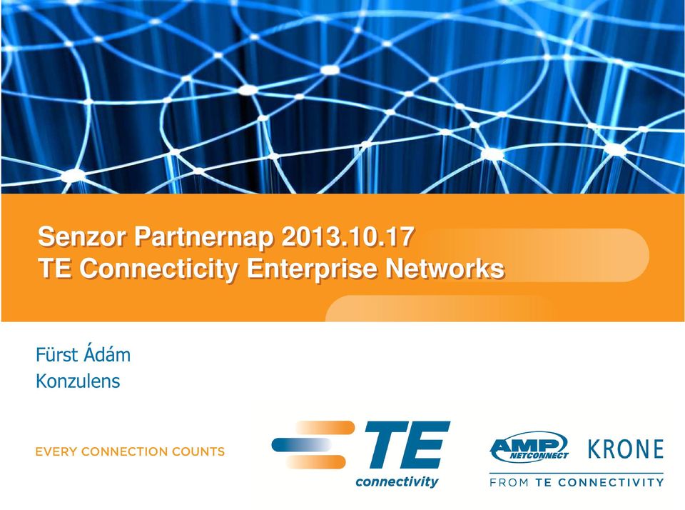 17 TE Connecticity