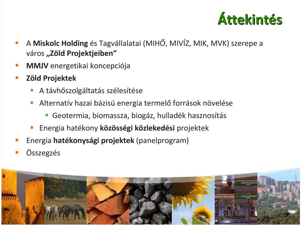 Alternatív hazai bázisú energia termelő források növelése Geotermia, biomassza, biogáz, hulladék