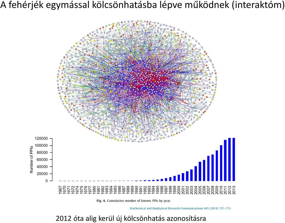 működnek (interaktóm) 2012