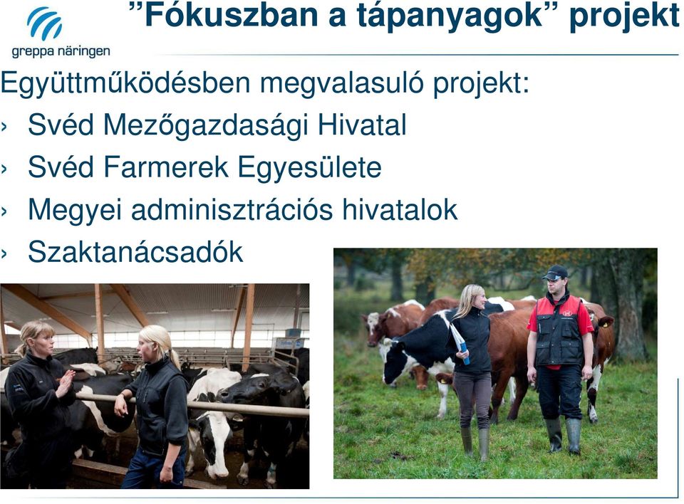 Svéd Mezőgazdasági Hivatal Svéd Farmerek