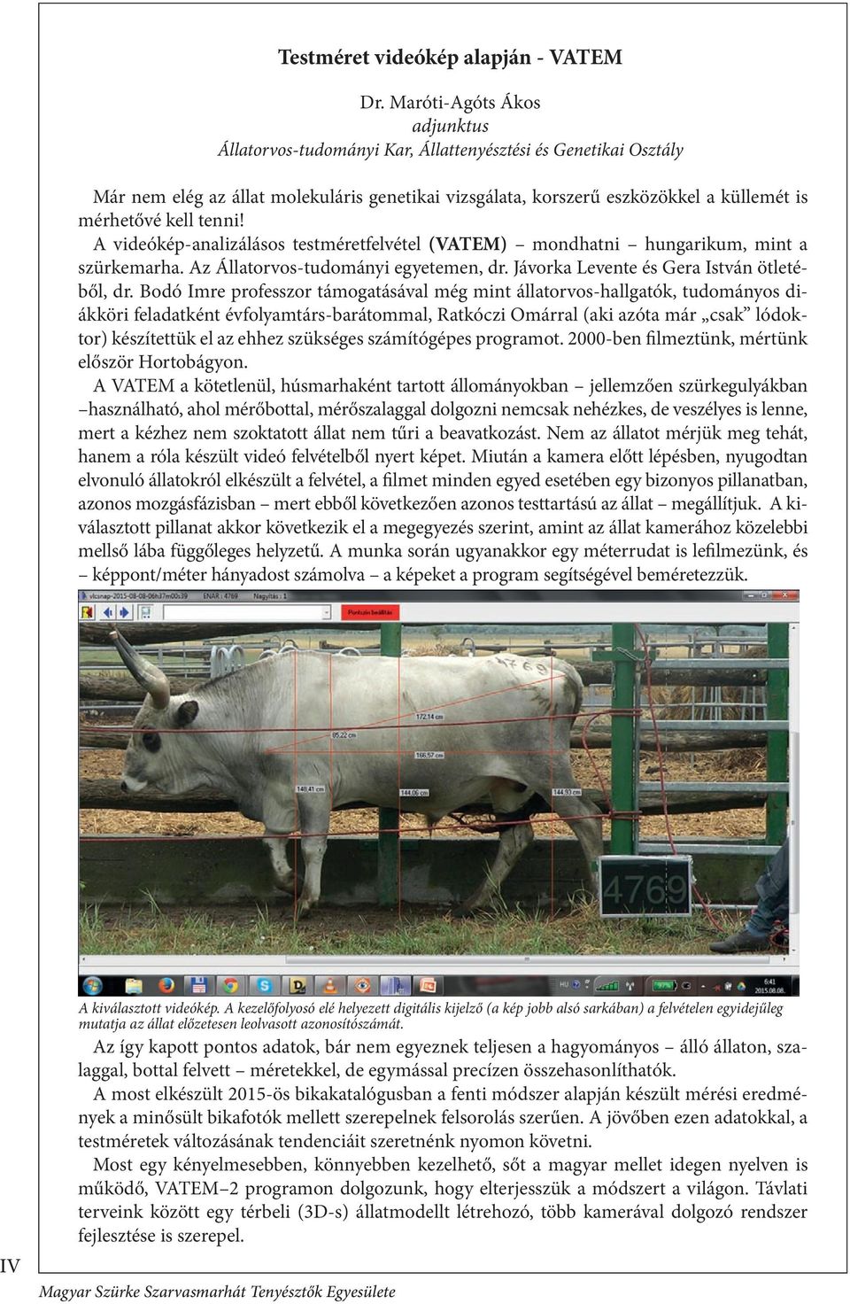 tenni! A videókép-analizálásos testméretfelvétel (VATEM) mondhatni hungarikum, mint a szürkemarha. Az Állatorvos-tudományi egyetemen, dr. Jávorka Levente és Gera István ötletéből, dr.