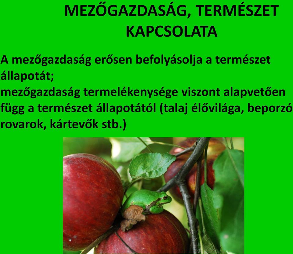 mezőgazdaság termelékenysége viszont alapvetően függ a