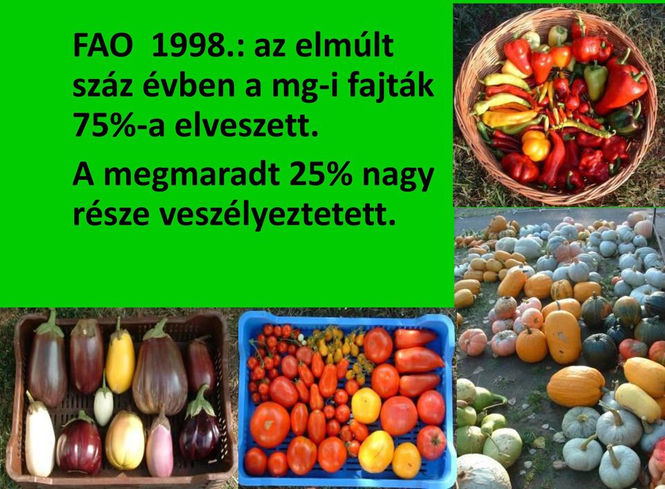 mg-i fajták 75%-a