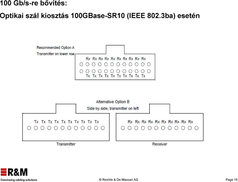100GBase-SR10 (IEEE