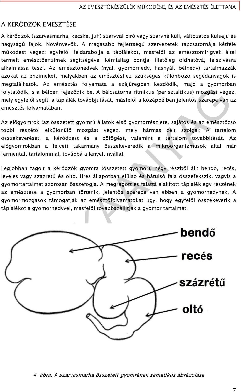 illetőleg oldhatóvá, felszívásra alkalmassá teszi.