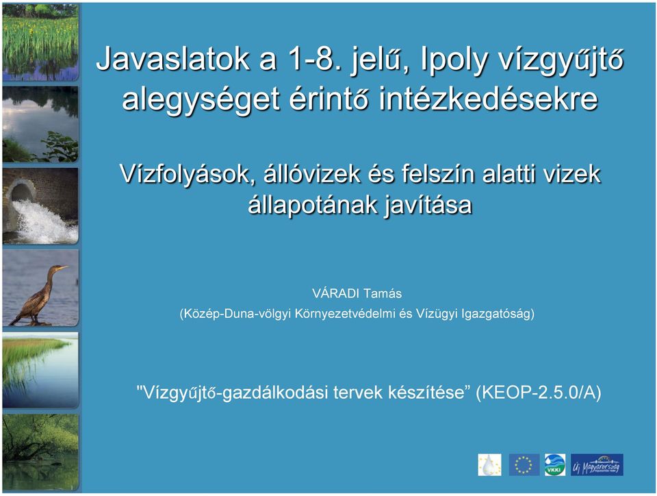Igazgatóság)